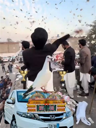 Kabotar Lovers: The Fascinating World of Pigeon Keeping