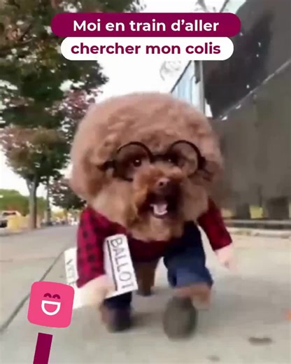 Une allure incroyable, une attitude toute fière ? Pas de doute, c’est l’effet Mondial Relay ! 😍 | Mondial Relay
