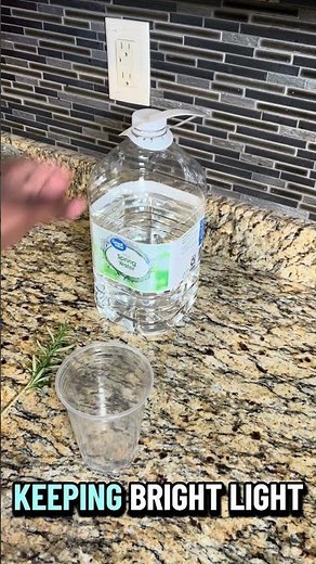 How to Grow Rosemary from a Clipping - Hydroponic to Soil