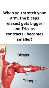 Year 4, first term, lesson 4. #educationalvideo #science