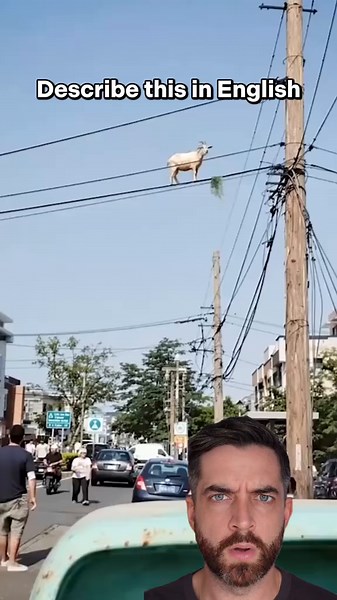 Understanding Instant English: A Quick Guide