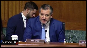 565K views · 10K reactions | Watch as Republican Texas Sen. Ted Cruz takes on a law professor who claims Texas voter ID laws are racist. | The Daily Caller | Facebook