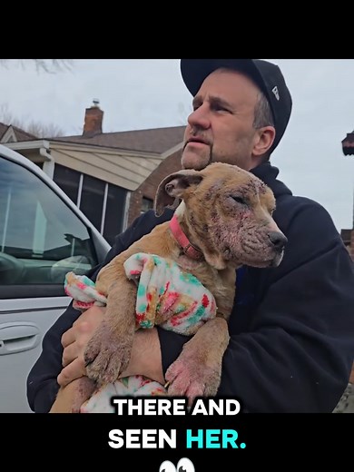 Dog Dumped By owner attacked by stray dogs. Heartwarming stories of rescued dogs. puppy adoption near me #pittie #pittienation #pitbullrescue #pitbullpuppy #mypets my pets rescueddog
