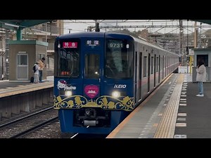 京王9030系9731編成（サンリオラッピングトレイン・HM掲出・リニューアル車両）が特急新宿行きとして若葉台駅3番線を通過するシーン（0726レ・87K）2025.4.6.13:29