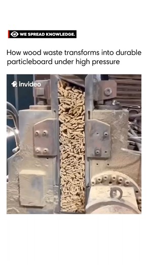 We Spread Knowledge on Instagram: "Particleboard is a clever example of turning waste into value. Tiny wood chips, sawdust, and other wood residues are mixed with resin and then pressed under extreme heat and pressures—up to 50 atmospheres—to form dense, flat sheets. This process not only recycles wood that would otherwise go to waste but also produces over 56 million cubic meters globally in 2024, making furniture and construction materials more affordable and sustainable. Next time you see a f