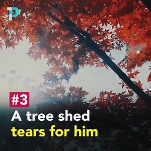 29K views · 1.9K reactions | The Miracles of our beloved Prophet Mohammed sallallahu alaihi wa Sallam (May peace be upon him) | Ummati of Prophet Muhammad "May Peace and Blessings be upon HIM" | Facebook