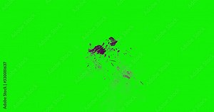 Trend 4k Colorful Isolated Particles on green screen perfect for compositing into your cgi scene. 3d vfx with spectacular fireworks explosion effect. Stock Video