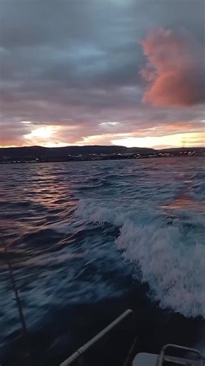 #passionepescabolognesedabarca #🌊🌊🌊🌊🐟🎣