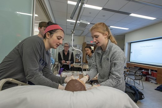 Pre-Med: Human Anatomy & Physiology | UConn Pre-College Summer