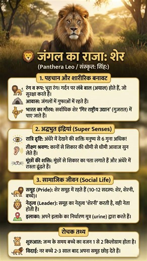 "CTET Special: Lion Complete Revision bas 15 Second mein"