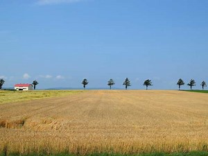 知床の観光はこれで完璧【地図付き】人気スポットを徹底紹介37選 - まっぷるウェブ