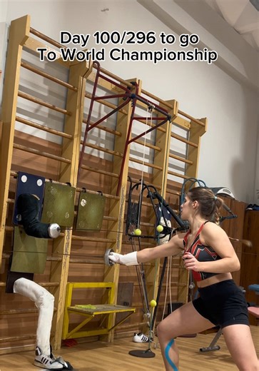 Day 100 of Fencing Target Drills