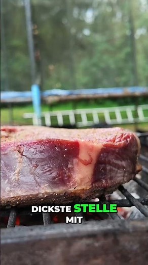 Perfectly grilled steak: The secrets of temperature & placement!