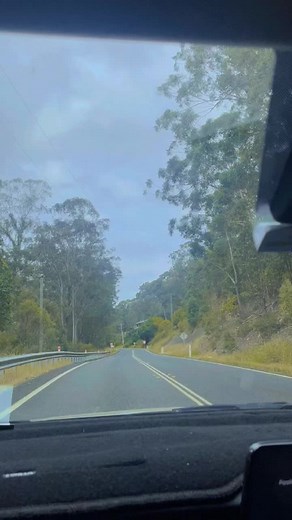 shaker_halo_fans (@shaker_halo_fans)’s videos with original sound - shaker_halo_fans