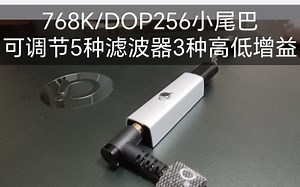 【小尾巴CS43131】768K/DOP256手搓外壳，按键可调节3种高低增益，5种滤波器，UAC1.0和2.0切换