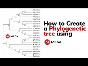 How to Create a Phylogenetic Tree Using MEGA | Step-by-Step Tutorial