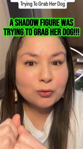 A shadow figure was trying to grab her dog!!! #paranormal #scaryshorts