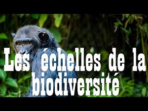 Capsule : "Les échelles de la biodiversité"