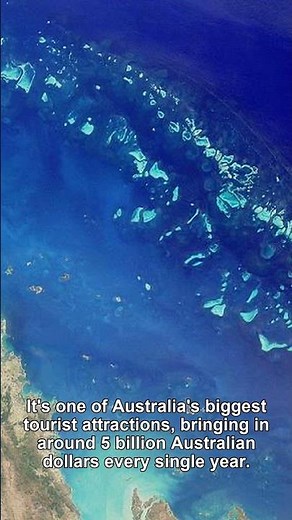 The Great Barrier Reef: World's Largest Coral System