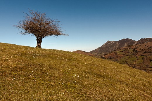 Cómo diferenciar las capas, capas de ajuste y máscaras de capa en Adobe Photoshop
