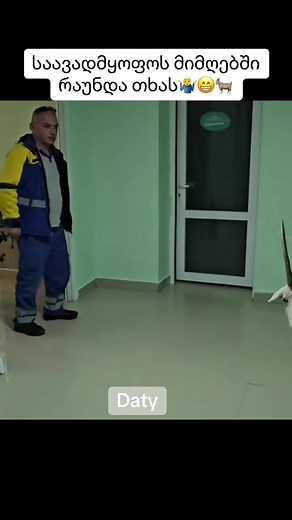 საიდან მოხვდა მანდ🤔😁😁😁