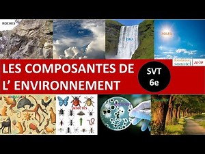 Components of the environment | SVT | 6th grade
