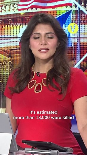 1.6K views · 23 reactions | News reporters and local residents have described this horrific incident as a devastating 'economic loss', while failing to mention the immeasurable suffering of the cows who perished. How would the world have reacted if the 18,000 individuals who were locked inside and left to burn were human animals? | Generation Vegan | Facebook