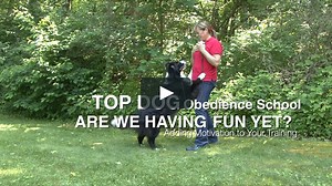 Are We Having Fun Yet? Adding Motivation to Your Training with Fun and Games!