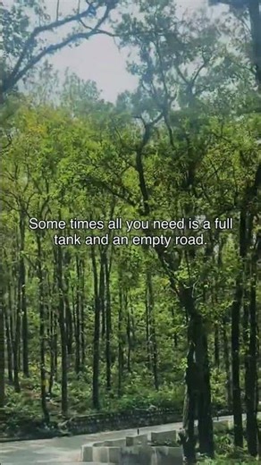 Sometimes you are just one drive away #dailyreminder #travel #viral