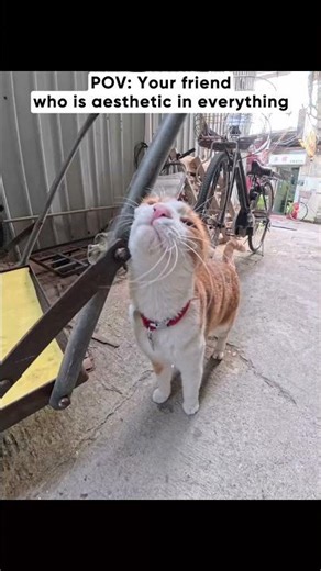 When you have a friend who sees aesthetics in everything.#insta360 #shenzhen #photography