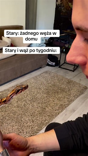 Kucing Kecil dan Ular: Momen Lucu di TikTok