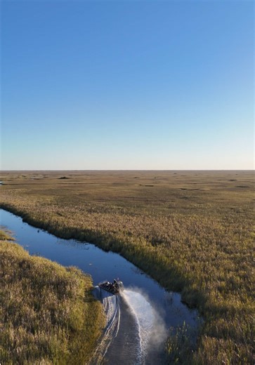 At Gator Park Airboat Tours, it’s about more than rides — it’s about roots. 🇺🇸🌿 Old-school American grit. True Gladesman culture. And welcoming people from all over the world to experience what we love and work hard to protect: the Everglades. We’re open 365 days a year, because sharing this place matters to us. Our goal is simple — help you understand the beauty, the wildlife, and the importance of this incredible ecosystem. Come ride with us. Learn with us. Fall in love with it like we did.