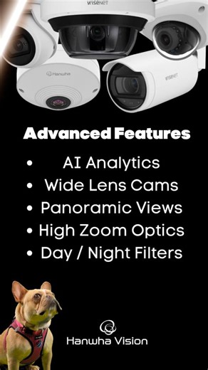 Violet’s on the case and this month, she’s got her eyes on Hanwha Vision America . 👀 From AI-driven analytics to panoramic views and crystal-clear coverage, Hanwha Vision delivers smart surveillance solutions built for pros who need reliability in every detail. Here at AlarMax, we’re proud to distribute Hanwha Vision because when it comes to clarity, they’ve got you in sight. #PoweredbyAlarMax #HanwhaVision #BrandSpotlight #SmartSecurity #VideoSurveillance #SecuritySolutions #SurveillanceInnova