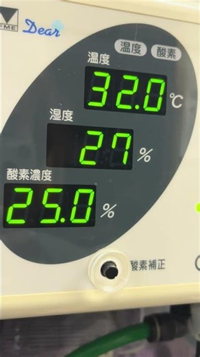 7. Treatment of silver Java sparrow Toko-chan, warmth, moisture and oxygen therapy in the ICU