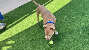 3K views · 187 reactions | Looking for something to do this weekend?...