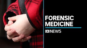 Divisive forensic medicine centres in spotlight