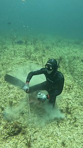 177K views · 3.3K reactions | Spearfishing Giant Mutton Snapper! #spearfishing #fishing | Ryan Myers Spearfishing | Facebook