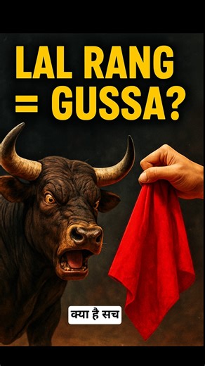 Bull vs Red: सच क्या है #facts #shorts #psycholgyfacts #amazingfacts