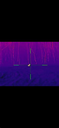 Night vision scope coyote headshot