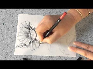 Poppy: pencil shaded drawing