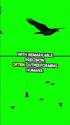 Bird Vision — How Do They See Colors? #BirdVision
