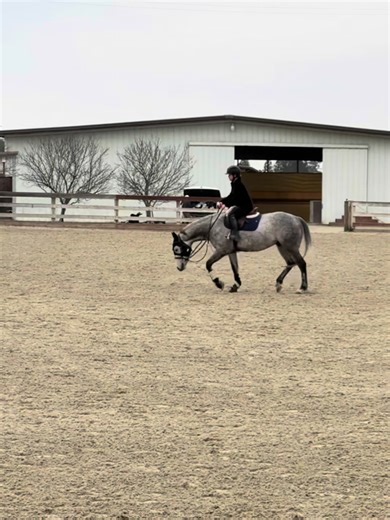 #fyp #viral #stretch #shorty #trot | stretch exercise