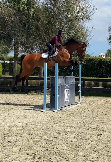 amazing lesson today on staka girl ♥️🦕 | staka