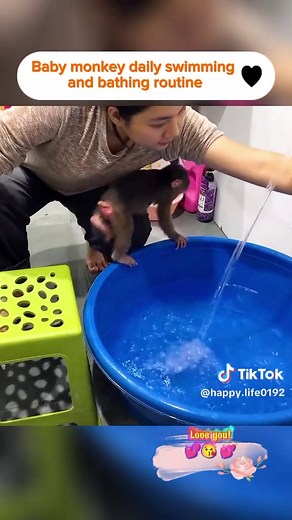 Baby monkey daily swimming and bathing routine #animal #monkeybibi #pets #pet #monkey