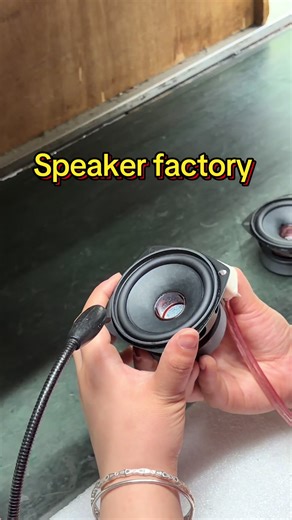 Speaker Manufacturer Factory Tour