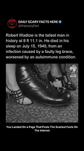 Robert Wadlow remains the tallest man in recorded history, reaching 8 feet 11.1 inches tall due to a rare condition affecting his pituitary gland. While admired by millions, his size caused constant medical complications and required leg braces to support his weight. In July 1940, Wadlow d!ed in his sleep after an infection caused by a faulty leg brace, worsened by an autoimmune condition. His story is both extraordinary and tragic—a reminder that extreme physical conditions often come with unbe