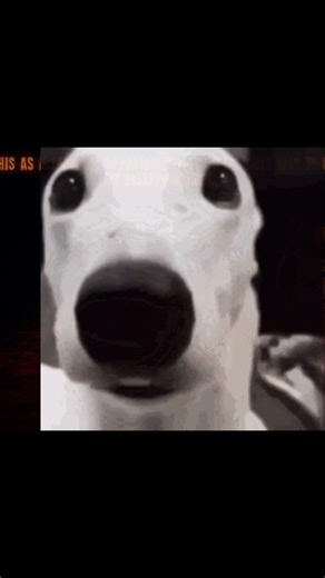 papa is very dissapointed in you...