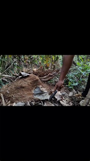 #creatorsearchinsights I Can_t Believe 😱 What Was #Hidden Inside This Ancient Pot❌ _treasurehunt _#metaldetecting _ancient