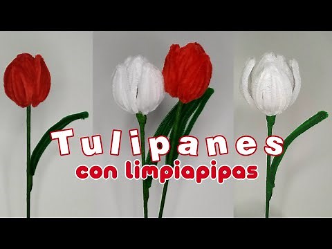 🌷How to make TULIPS with PIPE CLEANERS🌷 // eternal flowers ♡