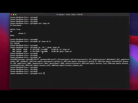 Mac OS Terminal - kill